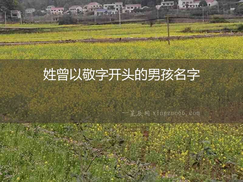 姓曾以敬字開頭的男孩名字