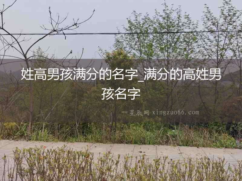 姓高男孩滿分的名字_滿分的高姓男孩名字