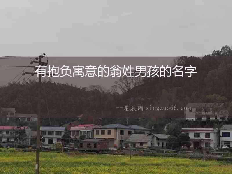有抱負(fù)寓意的翁姓男孩的名字