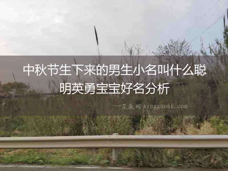 中秋節(jié)生下來的男生小名叫什么聰明英勇寶寶好名分析