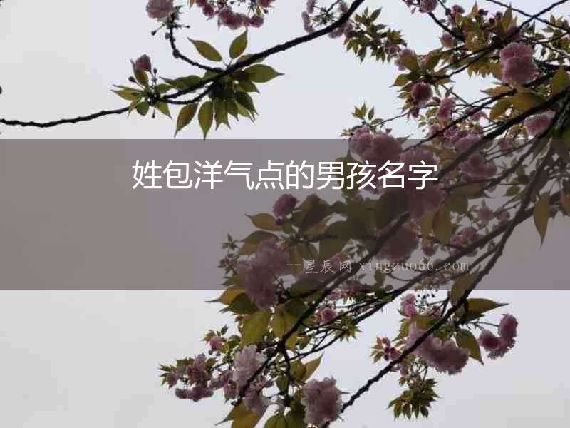 姓包洋氣點的男孩名字