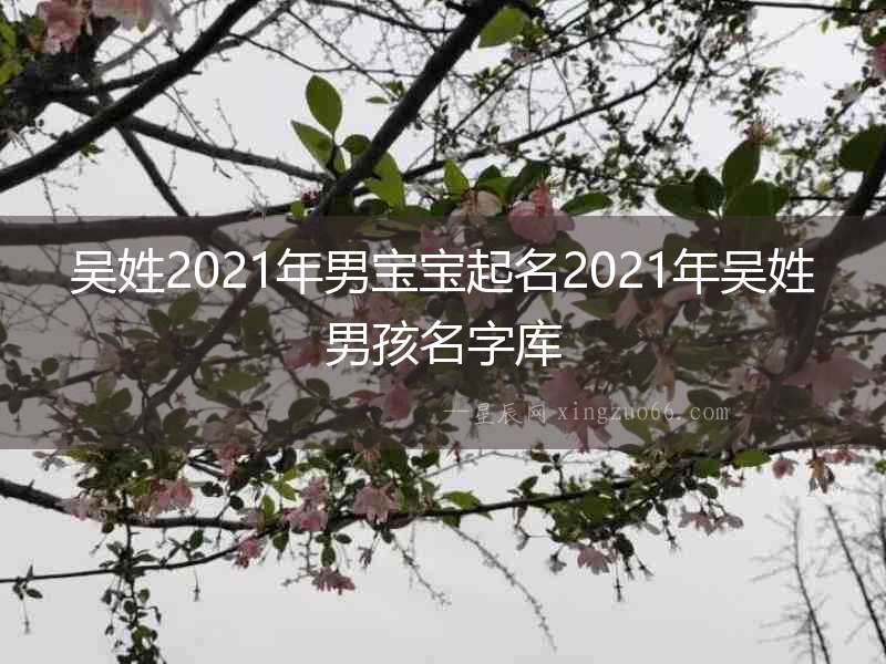 吳姓2021年男寶寶起名2021年吳姓男孩名字庫
