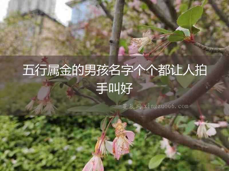 五行屬金的男孩名字個個都讓人拍手叫好