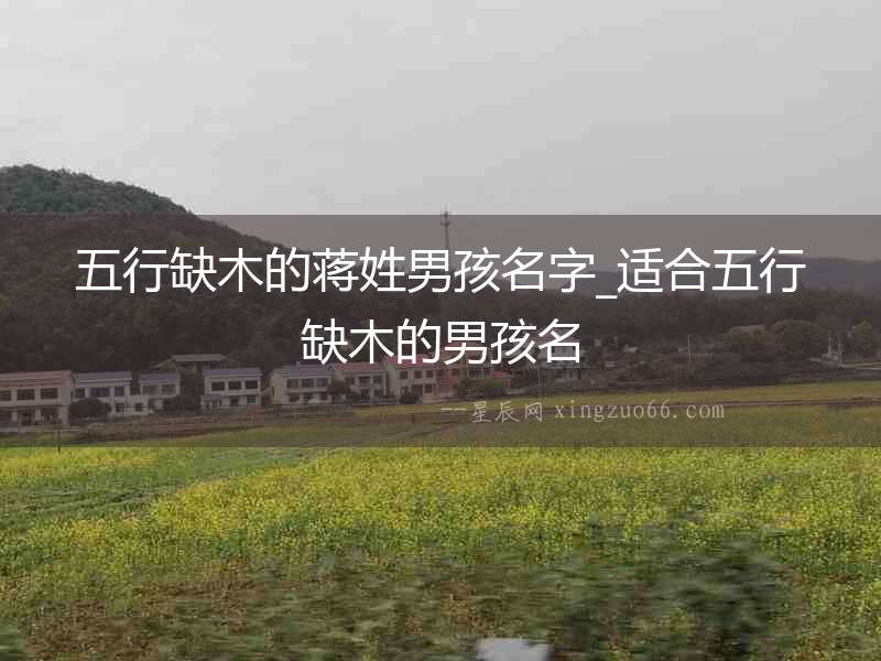 五行缺木的蔣姓男孩名字_適合五行缺木的男孩名