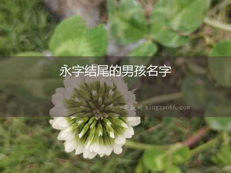 永字結尾的男孩名字