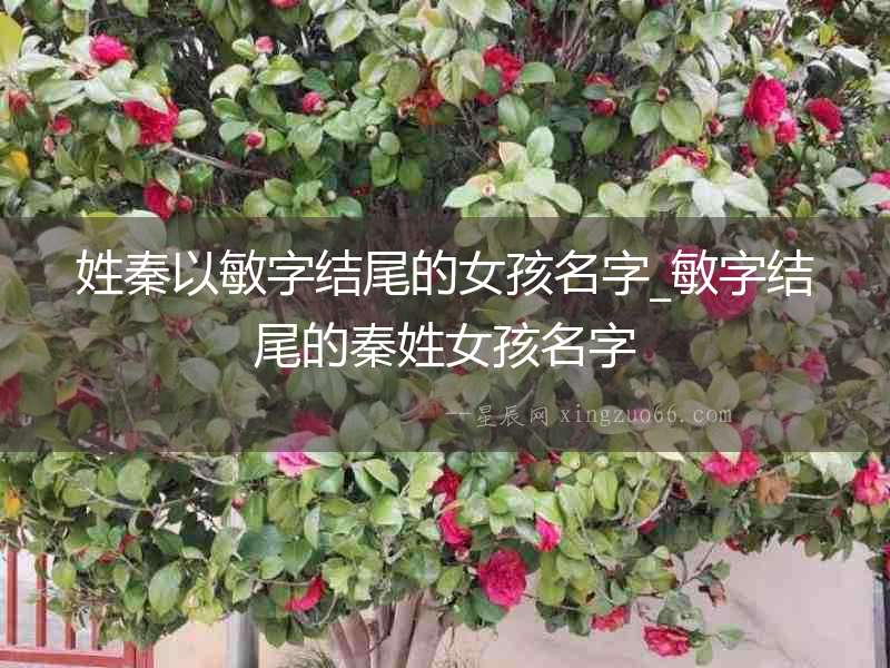 姓秦以敏字結(jié)尾的女孩名字_敏字結(jié)尾的秦姓女孩名字