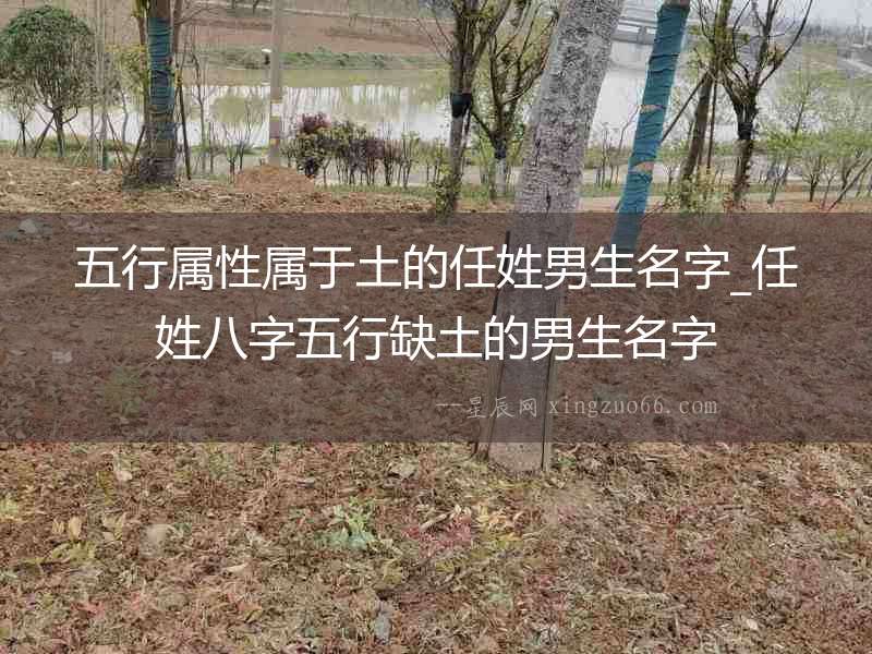 五行屬性屬于土的任姓男生名字_任姓八字五行缺土的男生名字