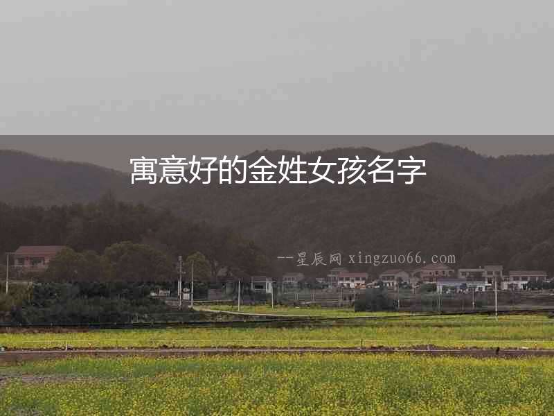 寓意好的金姓女孩名字