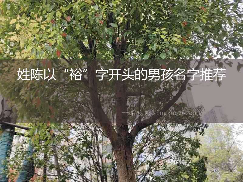 姓陳以“裕”字開頭的男孩名字推薦