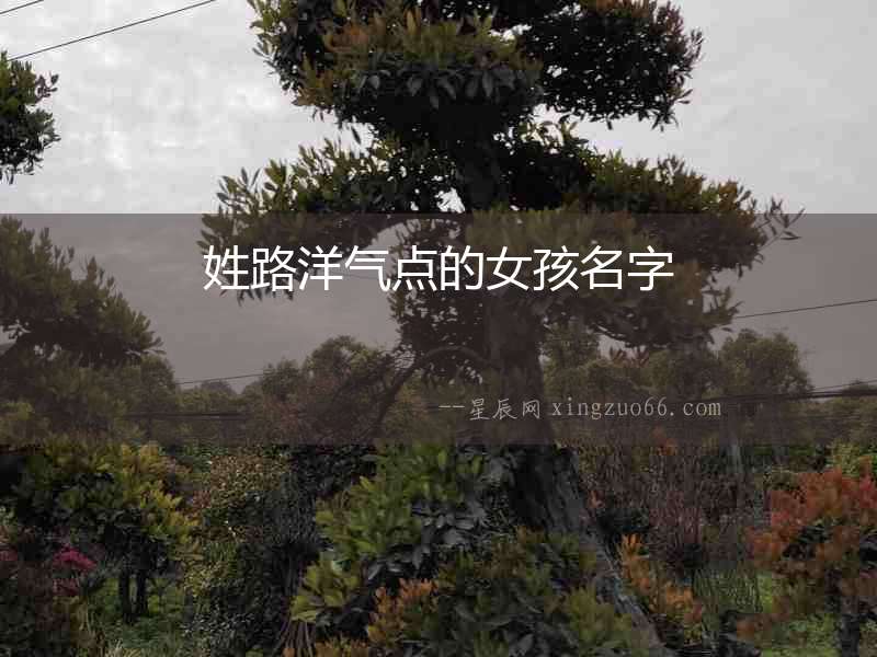姓路洋氣點(diǎn)的女孩名字