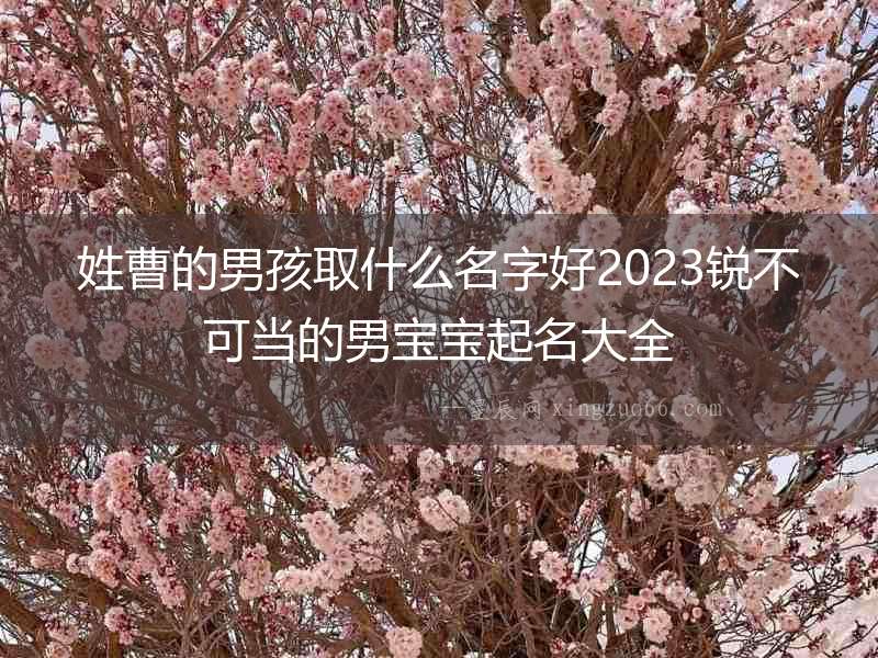 姓曹的男孩取什么名字好2023銳不可當的男寶寶起名大全