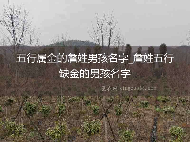五行屬金的詹姓男孩名字_詹姓五行缺金的男孩名字