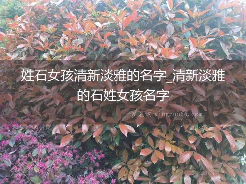 姓石女孩清新淡雅的名字_清新淡雅的石姓女孩名字