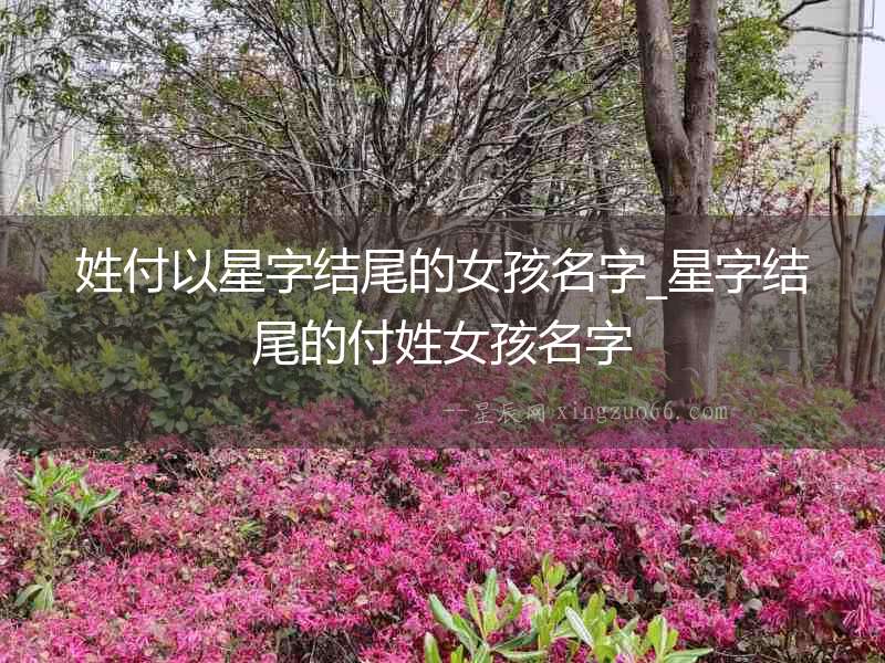 姓付以星字結尾的女孩名字_星字結尾的付姓女孩名字