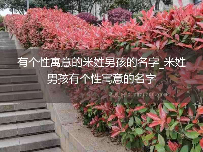 有個(gè)性寓意的米姓男孩的名字_米姓男孩有個(gè)性寓意的名字