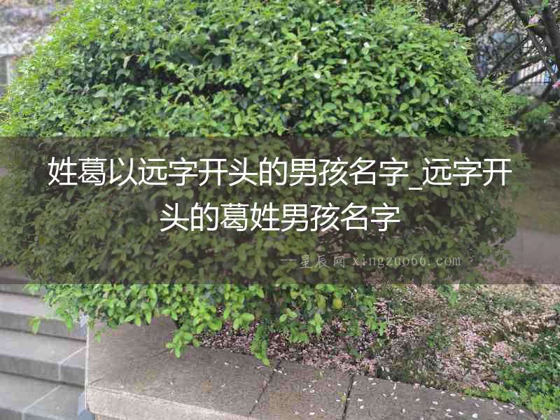 姓葛以遠(yuǎn)字開頭的男孩名字_遠(yuǎn)字開頭的葛姓男孩名字