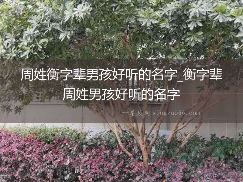 周姓衡字輩男孩好聽的名字_衡字輩周姓男孩好聽的名字