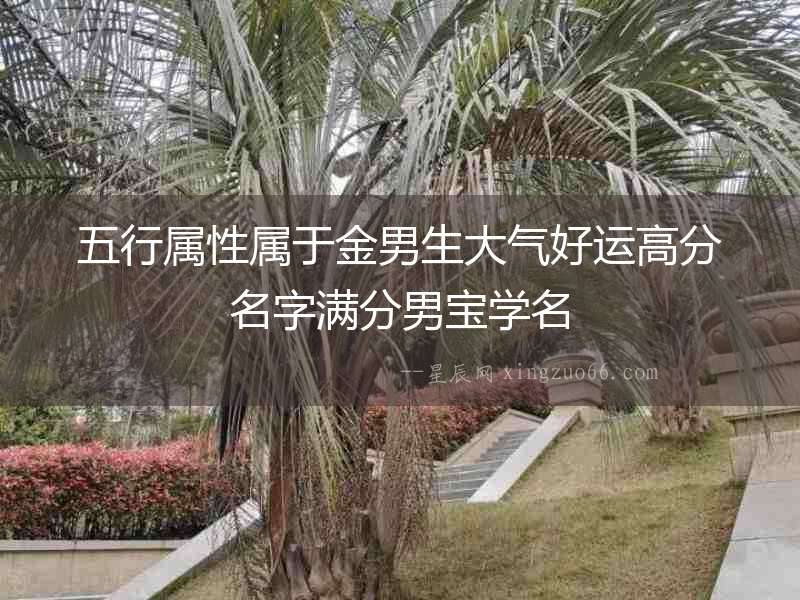 五行屬性屬于金男生大氣好運高分名字滿分男寶學(xué)名