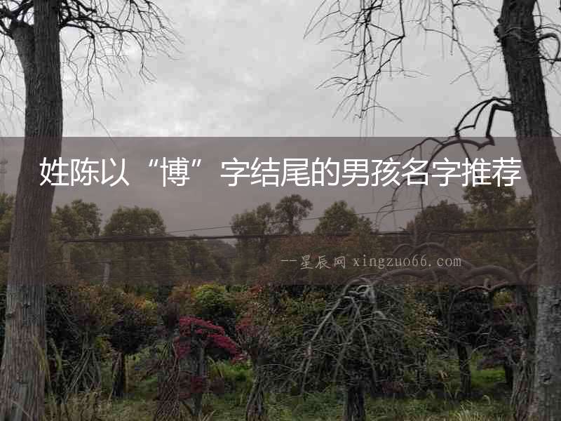 姓陳以“博”字結(jié)尾的男孩名字推薦