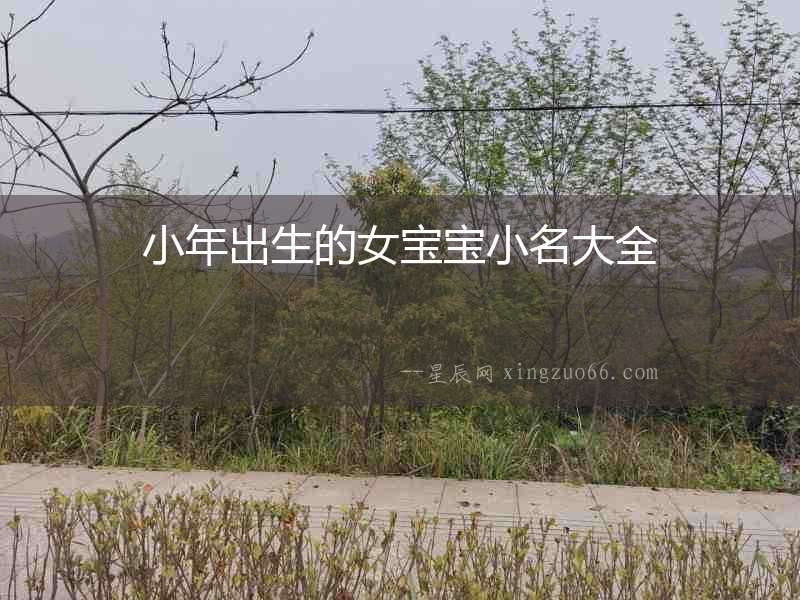 小年出生的女寶寶小名大全