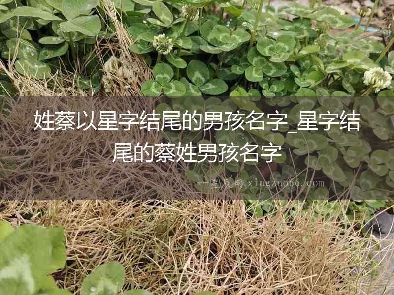 姓蔡以星字結尾的男孩名字_星字結尾的蔡姓男孩名字