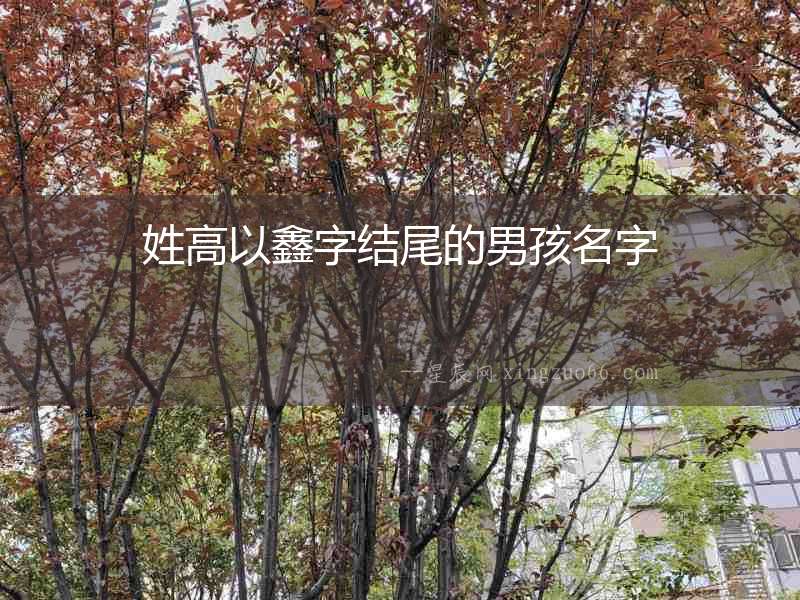姓高以鑫字結(jié)尾的男孩名字