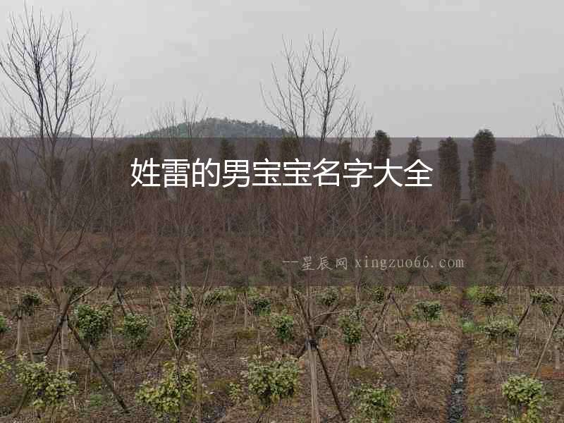 姓雷的男寶寶名字大全