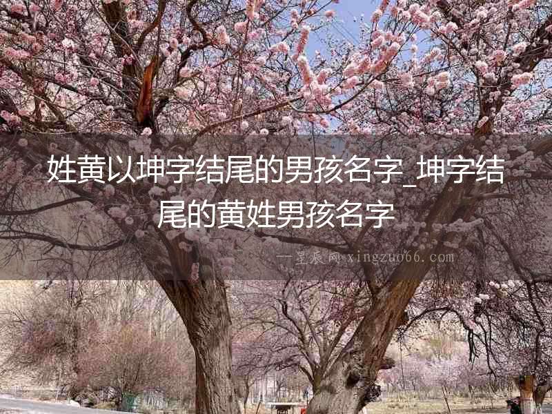 姓黃以坤字結(jié)尾的男孩名字_坤字結(jié)尾的黃姓男孩名字