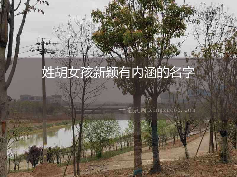 姓胡女孩新穎有內涵的名字