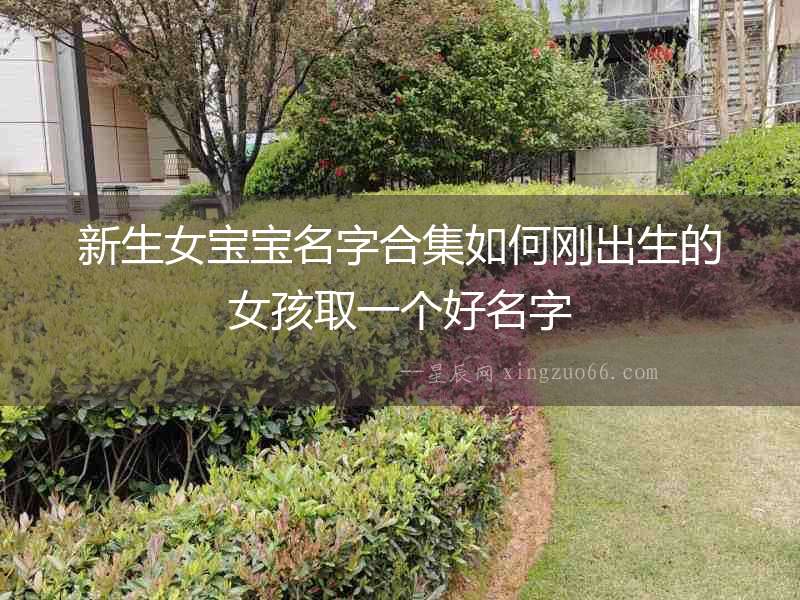 新生女寶寶名字合集如何剛出生的女孩取一個好名字