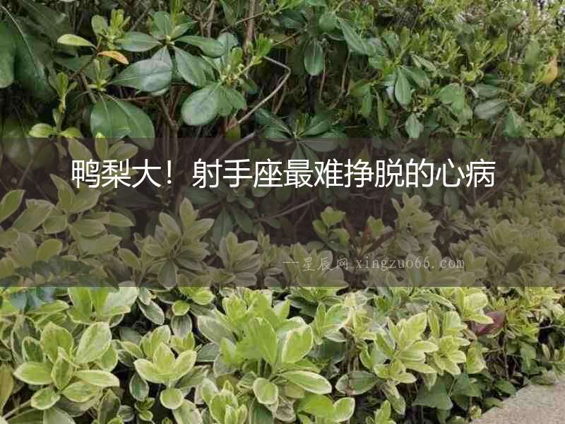 鴨梨大！射手座最難掙脫的心病