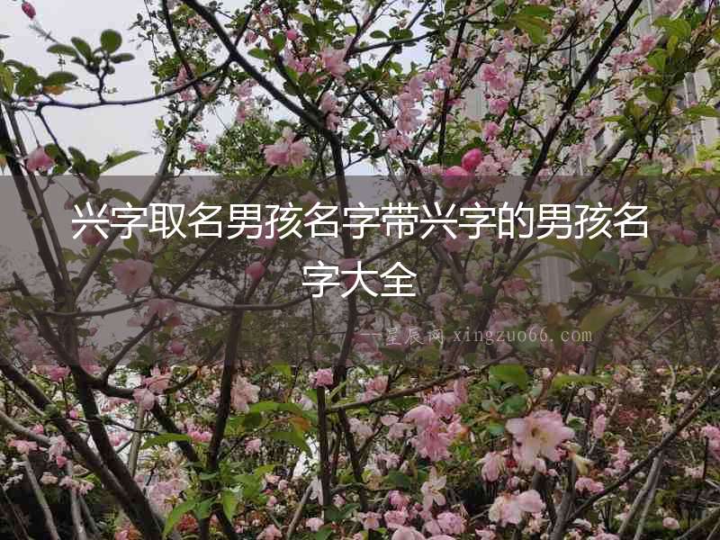 興字取名男孩名字帶興字的男孩名字大全