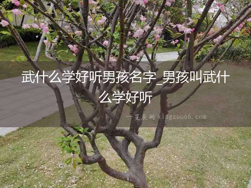 武什么學(xué)好聽(tīng)男孩名字_男孩叫武什么學(xué)好聽(tīng)