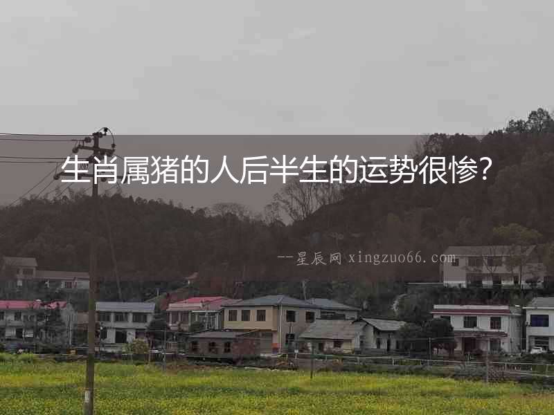 生肖屬豬的人后半生的運(yùn)勢(shì)很慘？