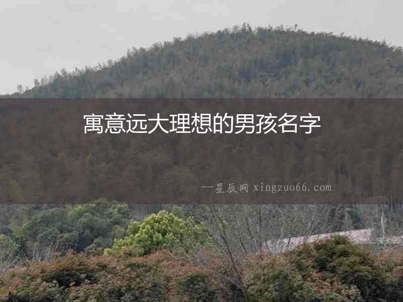 寓意遠大理想的男孩名字