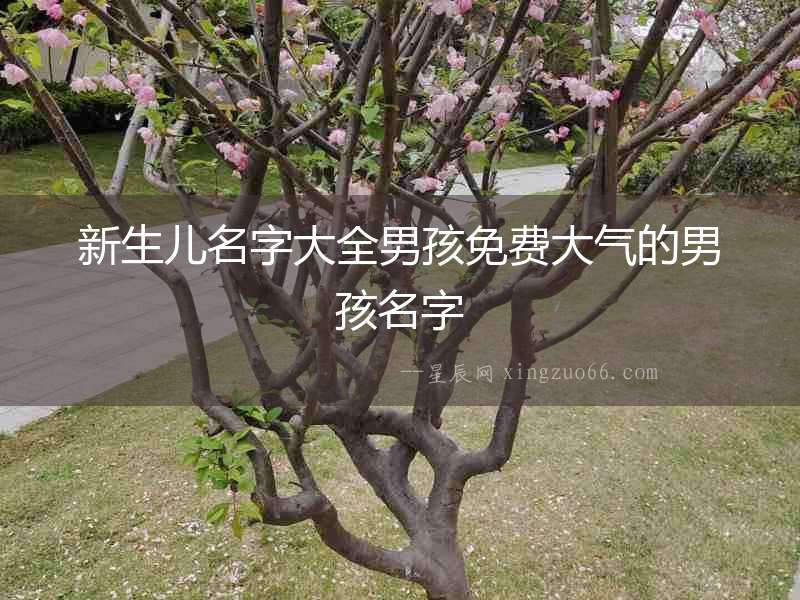 新生兒名字大全男孩免費(fèi)大氣的男孩名字