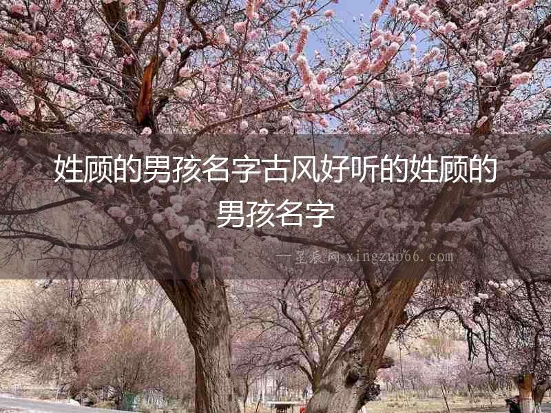 姓顧的男孩名字古風(fēng)好聽(tīng)的姓顧的男孩名字