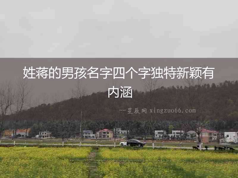 姓蔣的男孩名字四個(gè)字獨(dú)特新穎有內(nèi)涵