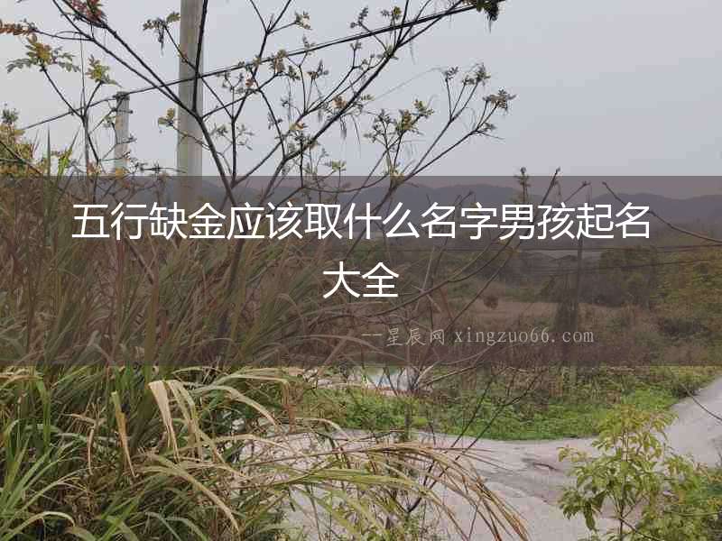 五行缺金應(yīng)該取什么名字男孩起名大全