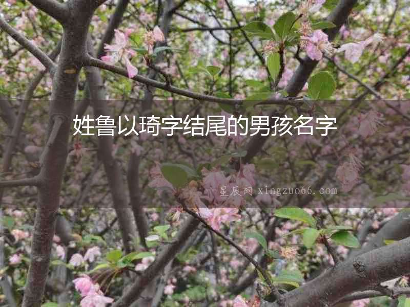 姓魯以琦字結(jié)尾的男孩名字