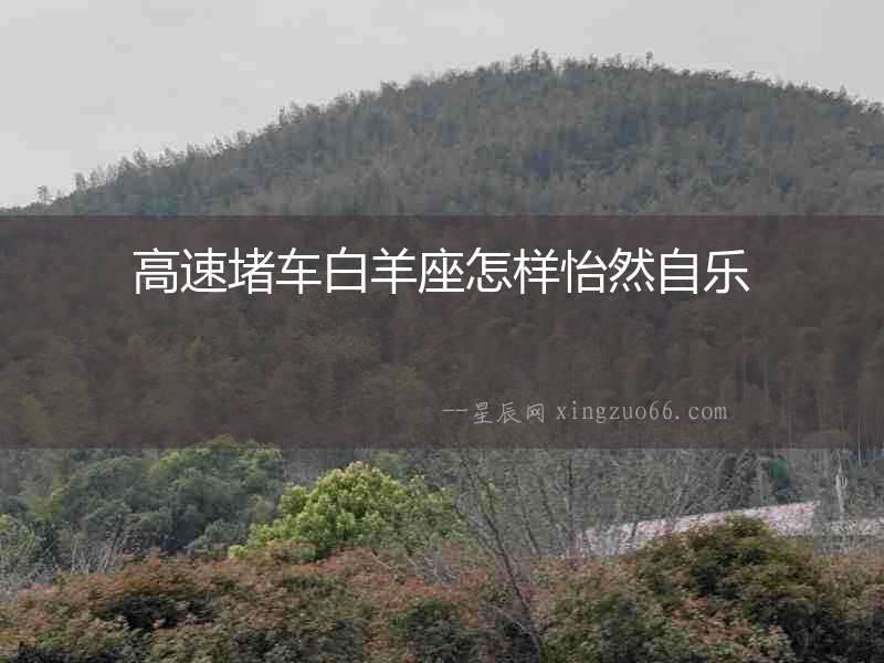 高速堵車白羊座怎樣怡然自樂