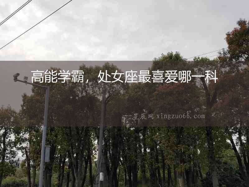 高能學霸，處女座最喜愛哪一科