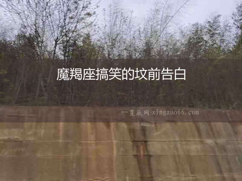 魔羯座搞笑的墳前告白