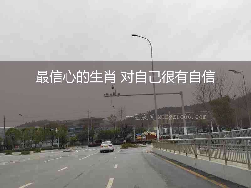 最信心的生肖 對自己很有自信