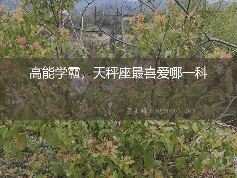 高能學霸，天秤座最喜愛哪一科