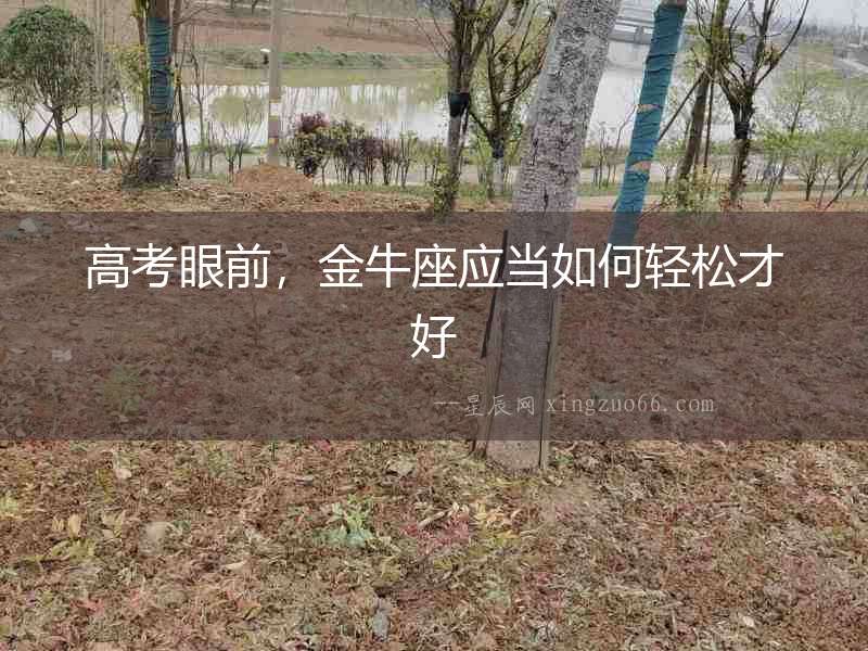 高考眼前，金牛座應當如何輕松才好