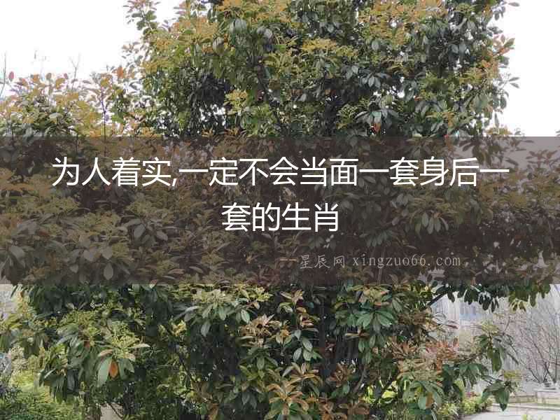 為人著實,一定不會當面一套身后一套的生肖