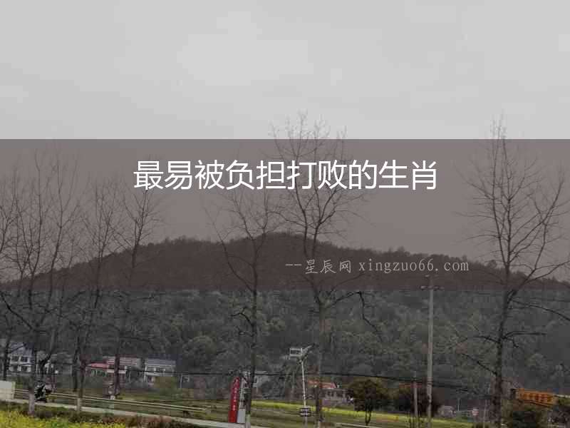 最易被負(fù)擔(dān)打敗的生肖