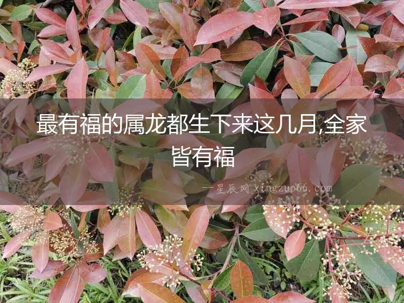 最有福的屬龍都生下來(lái)這幾月,全家皆有福