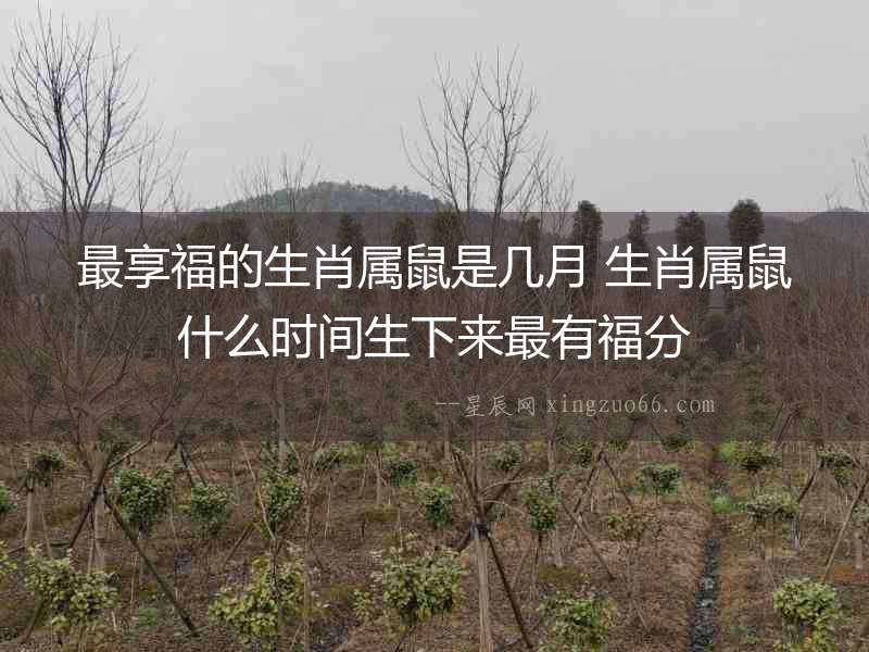 最享福的生肖屬鼠是幾月 生肖屬鼠什么時(shí)間生下來(lái)最有福分